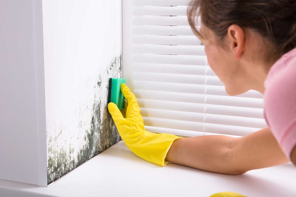 Muffa sui muri di casa: come eliminarla? | AR Blue Clean