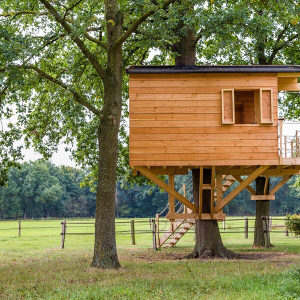 Comment construire une cabane dans les arbres : de nombreux conseils pour un coin de rêve