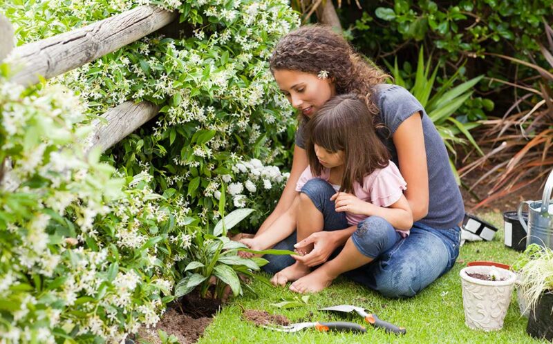 Il giardinaggio e i suoi benefici: ecco perché fa bene alla salute e all’umore