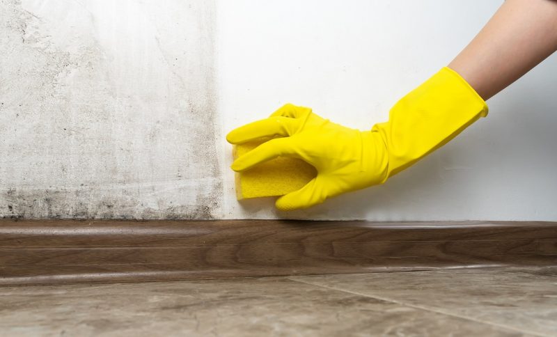 Come pulire le pareti di casa? Trucchi e suggerimenti per smacchiare i muri interni ed esterni