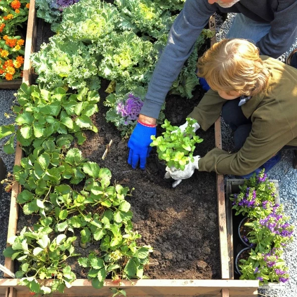 Come progettare un orto in giardino: idee e consigli